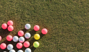 Lire la suite à propos de l’article Mini-golf Lage Vuursche